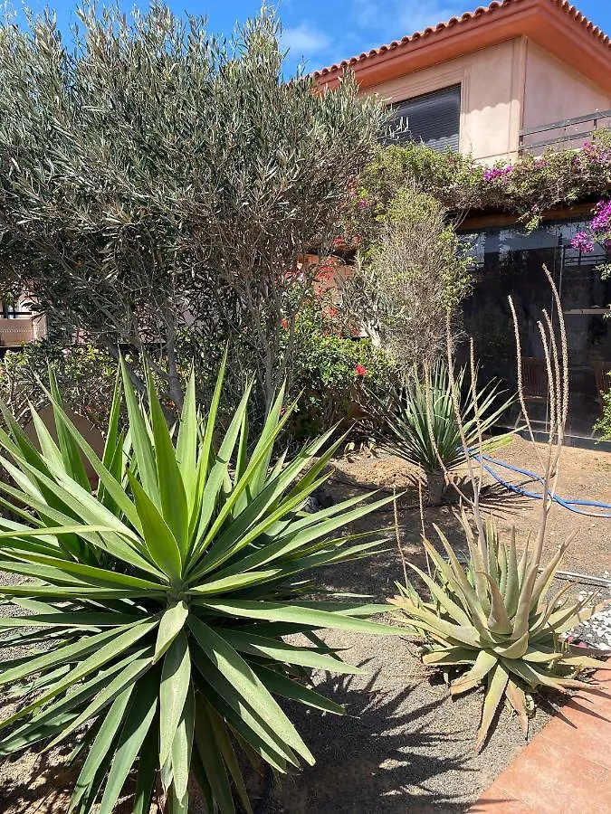 Holiday home Villa Wild Lajares