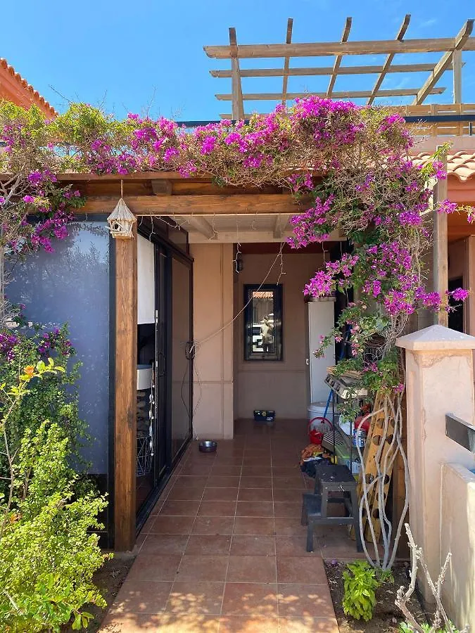 Villa Wild Lajares Holiday home