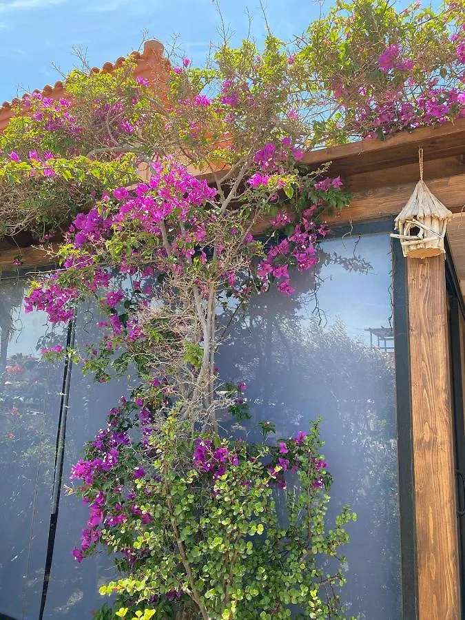 Holiday home Villa Wild Lajares Spain